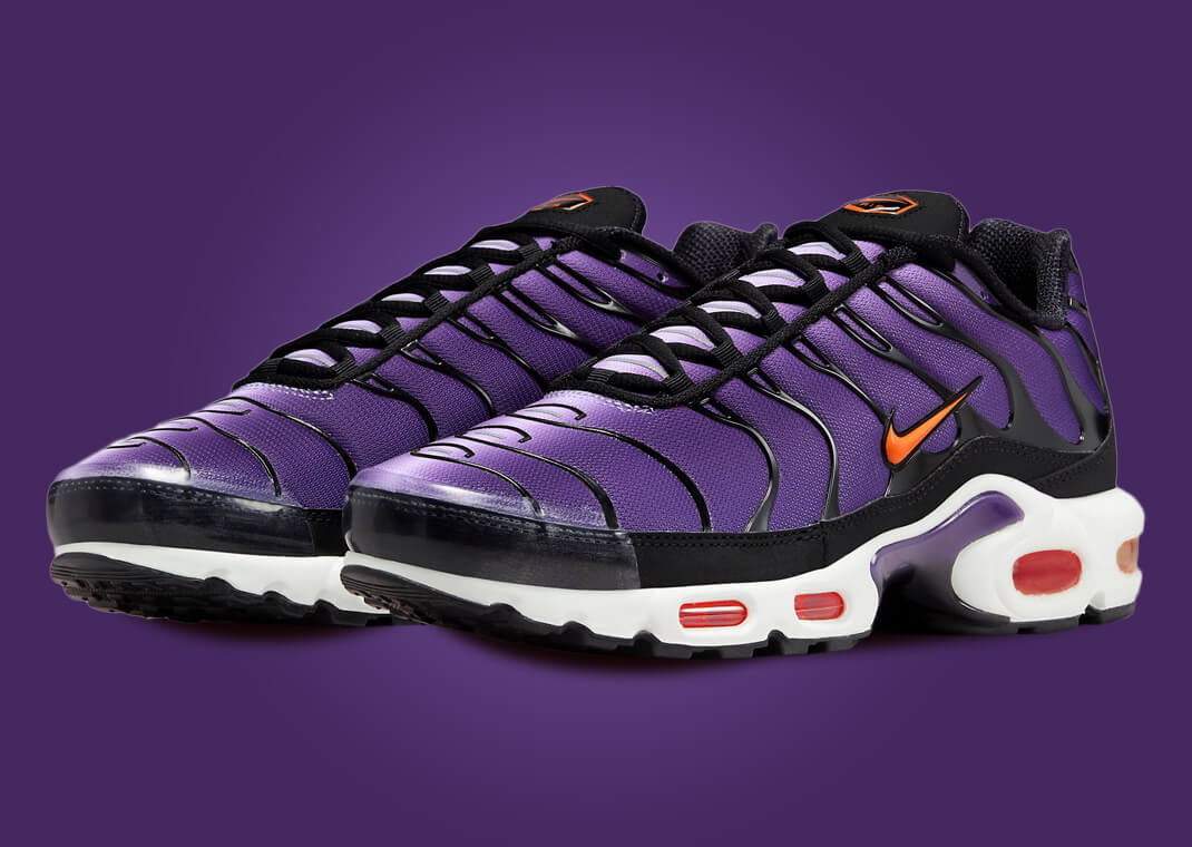 Nike TN lll Purple