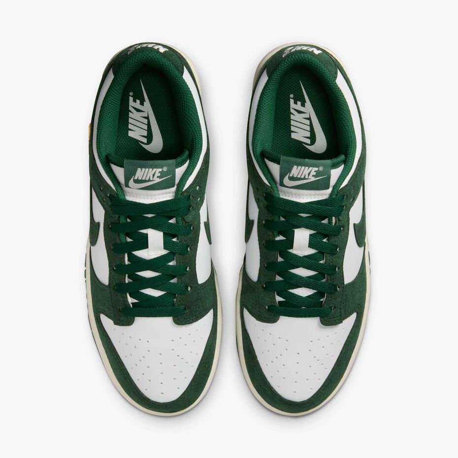 Lowdunk suede