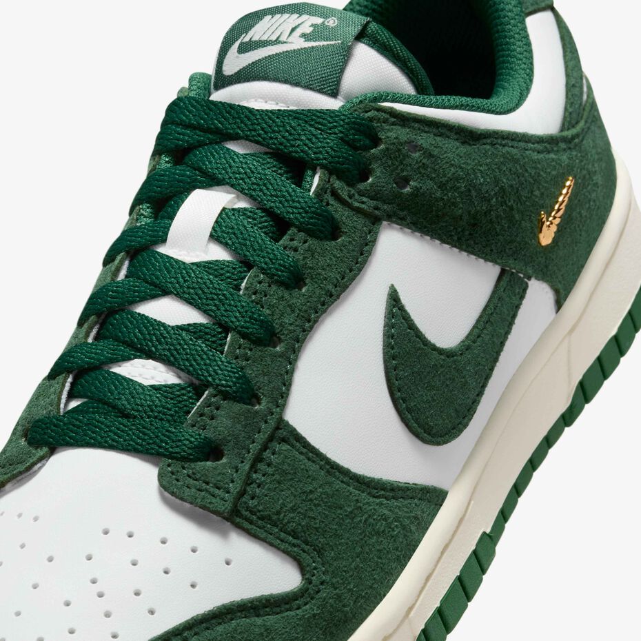 Lowdunk suede